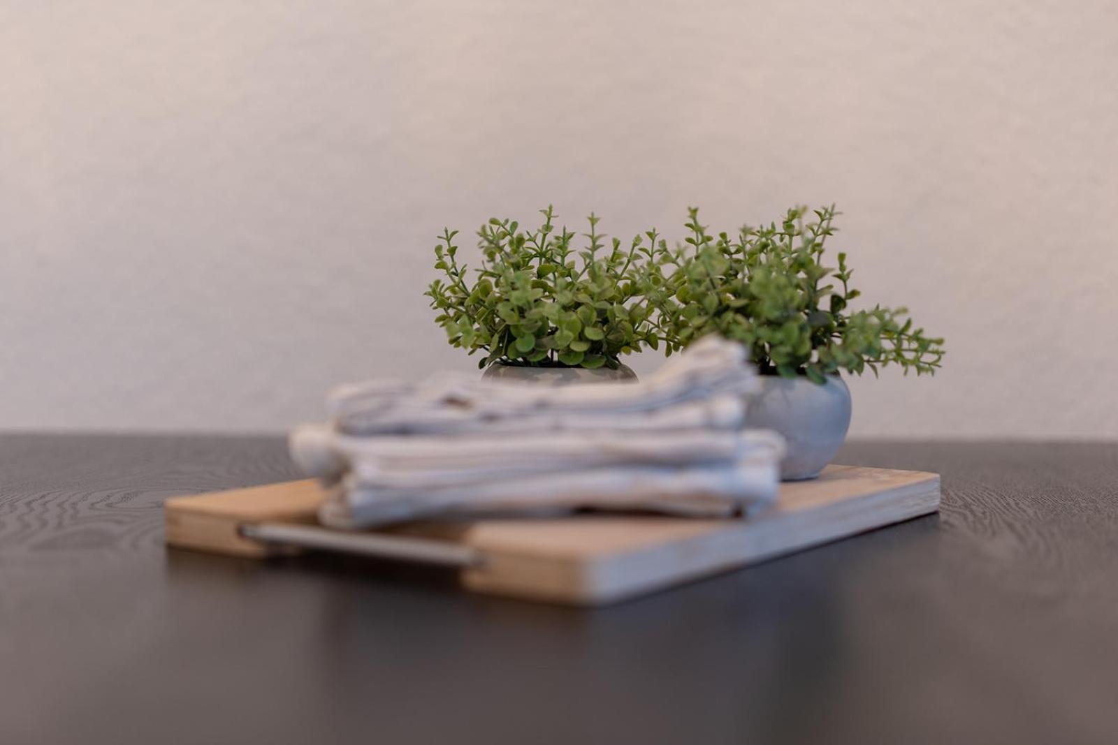 Apartmenthaus Meissen Bagian luar foto